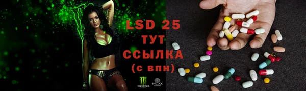 ECSTASY Каменка
