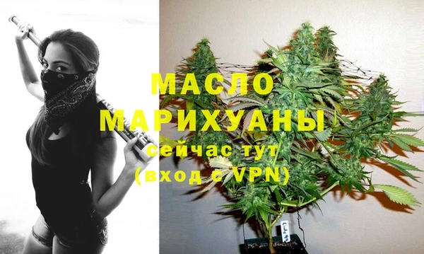 крисы Сатка