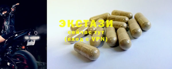 крисы Сатка
