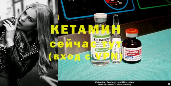 крисы Сатка