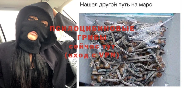 крисы Каменногорск