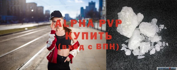 крисы Каменногорск