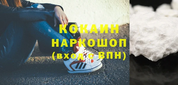 крисы Сатка