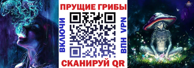 как найти закладки  Курильск  Псилоцибиновые грибы мицелий 